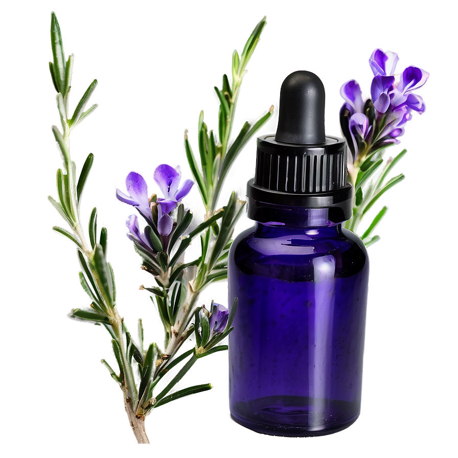 Rosemary Essential Oil Png 43