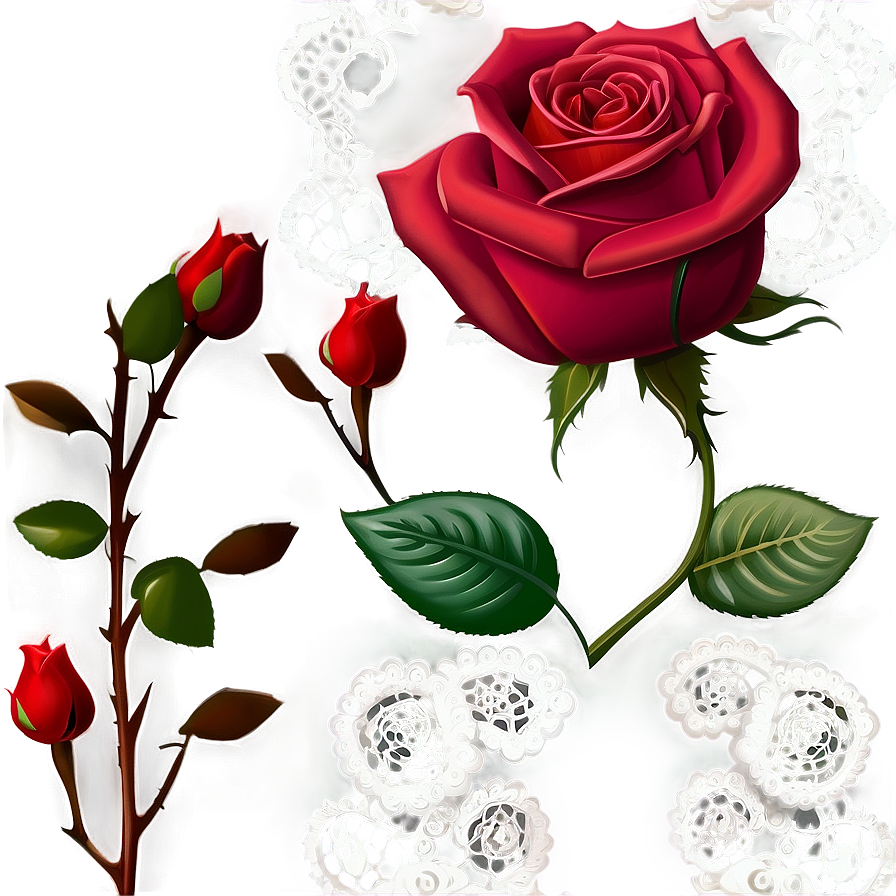 Roses And Lace Png 05042024