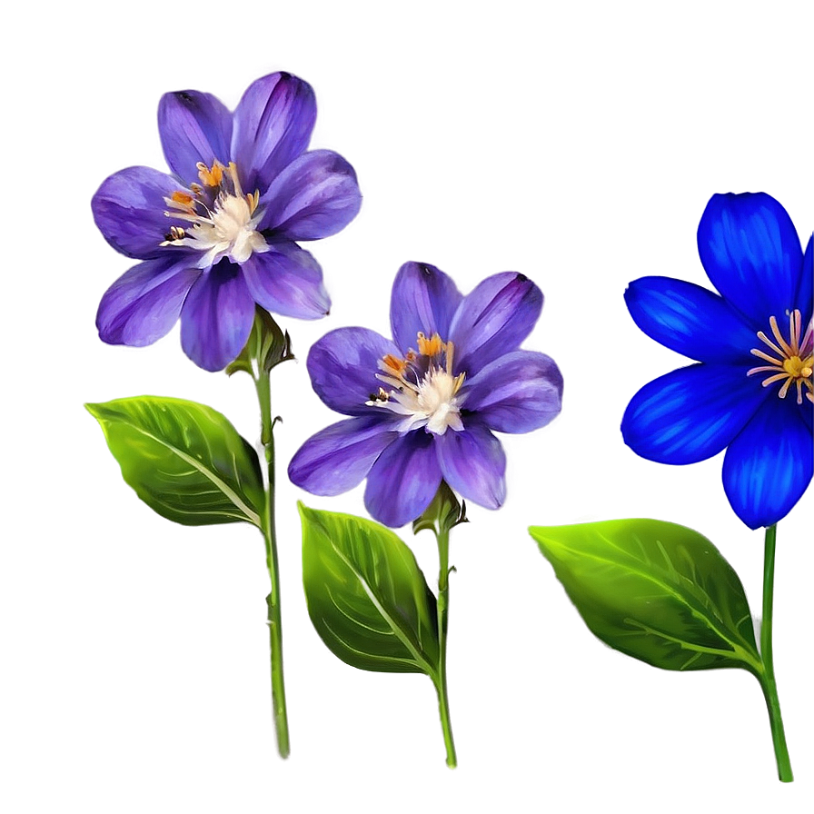 Royal Blue Flower Png Sli