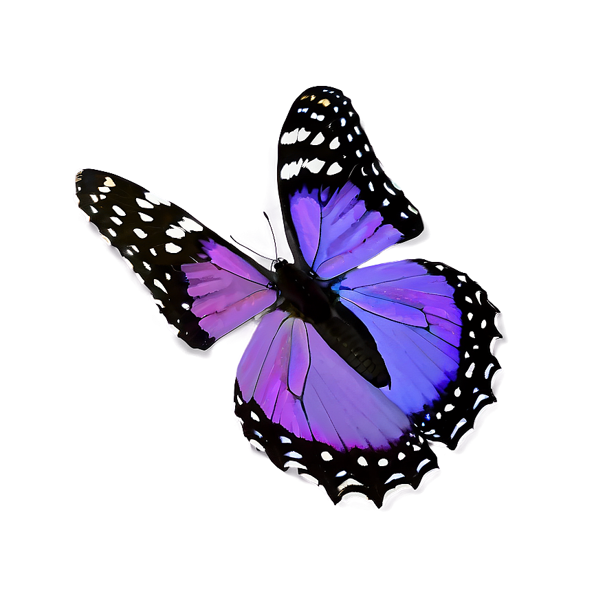 Royal Purple Butterfly Png Xqt