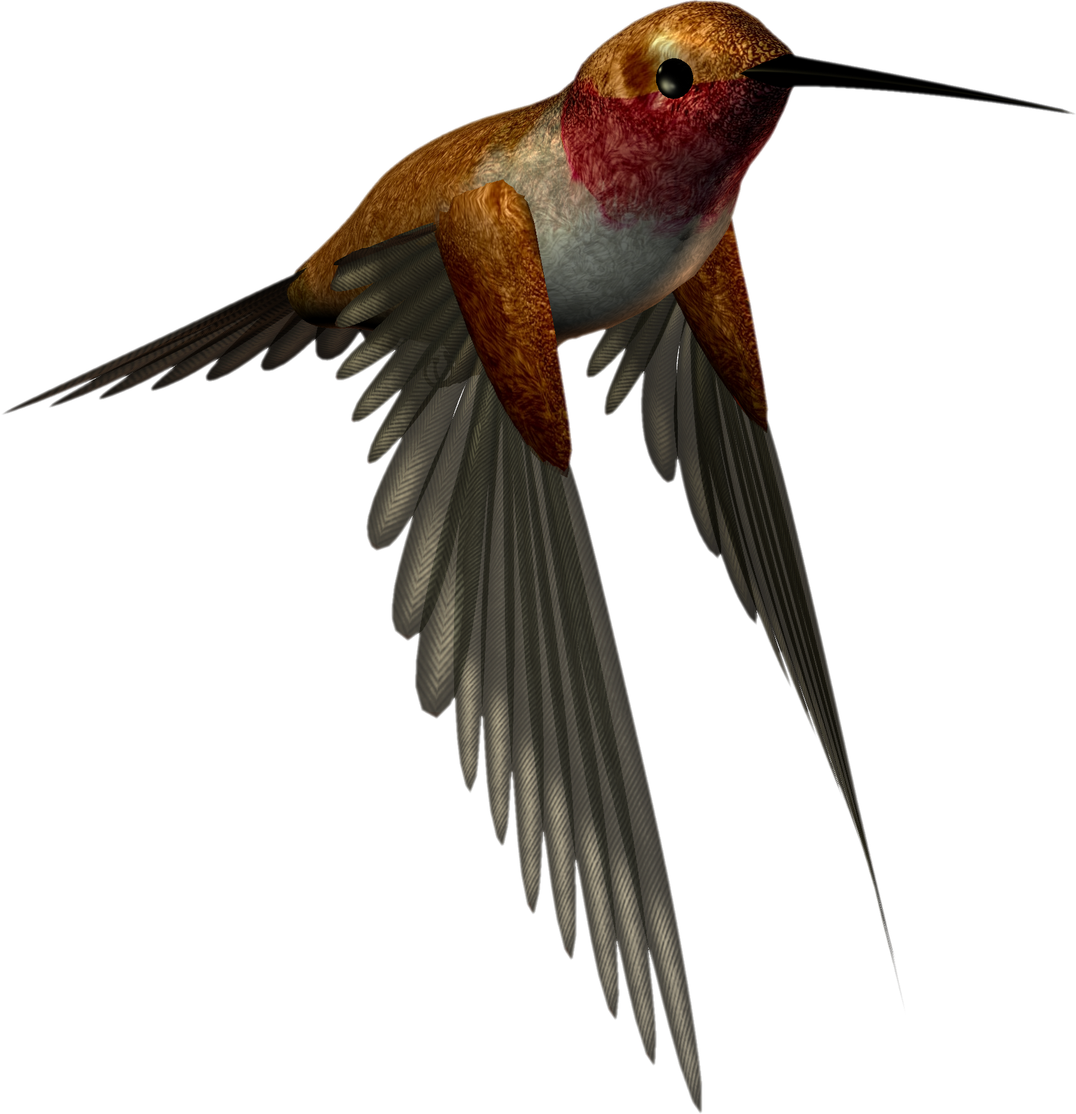 Ruby Throated Hummingbird Illustration.png