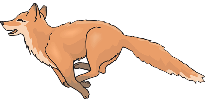 Running Fox Illustration