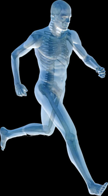 Running Human Xray Visualization