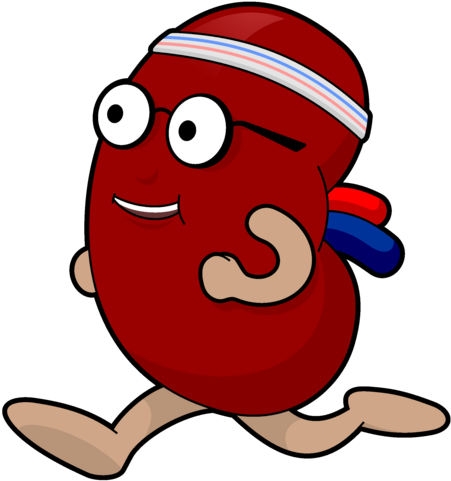 Running Kidney Cartoon Character