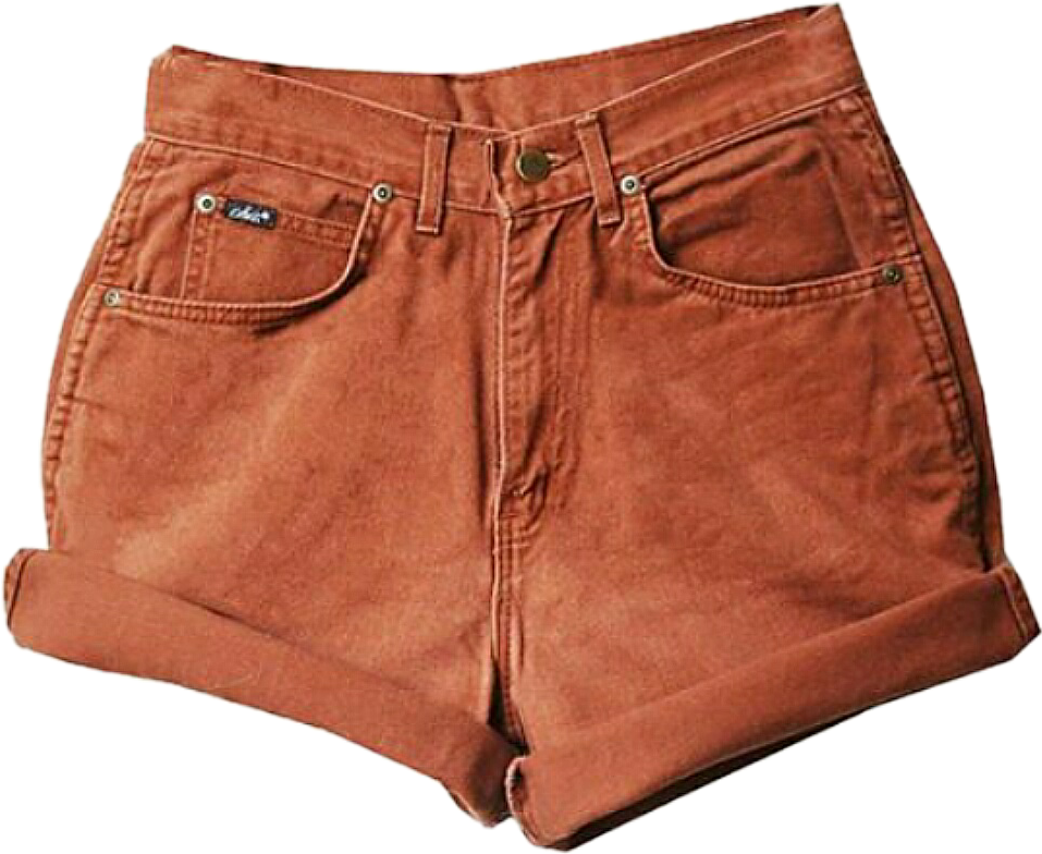 Rust Colored Denim Shorts