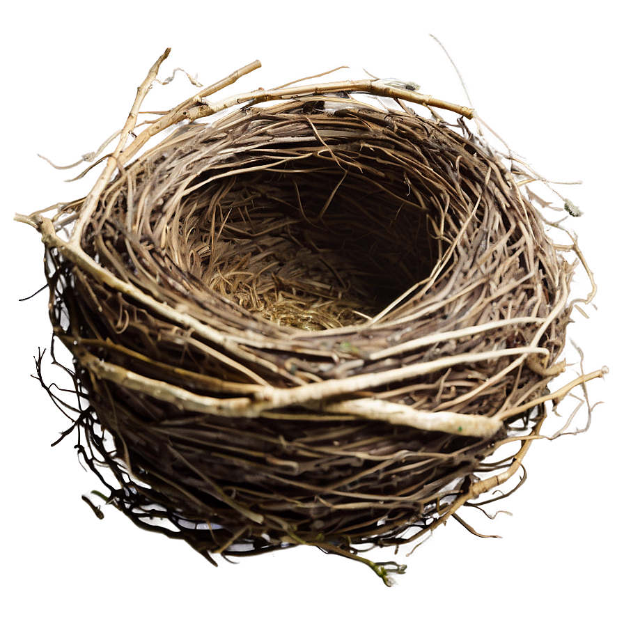 Rustic Bird Nest Png 06212024