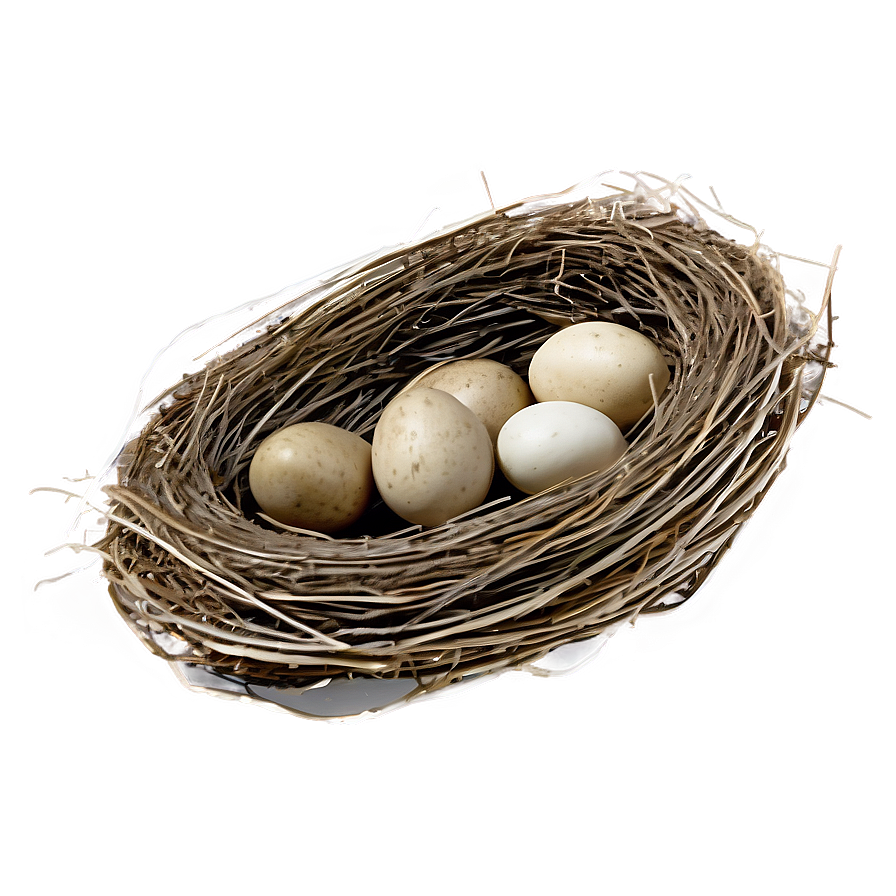 Rustic Bird Nest Png 44