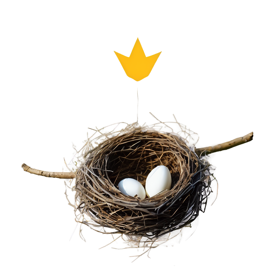 Rustic Bird Nest Png Nlp