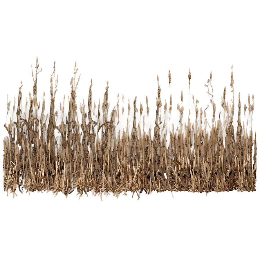 Rustic Dry Grass Png Slw81