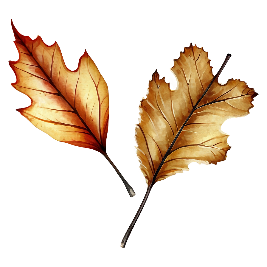 Rustic Fall Leaf Png 28