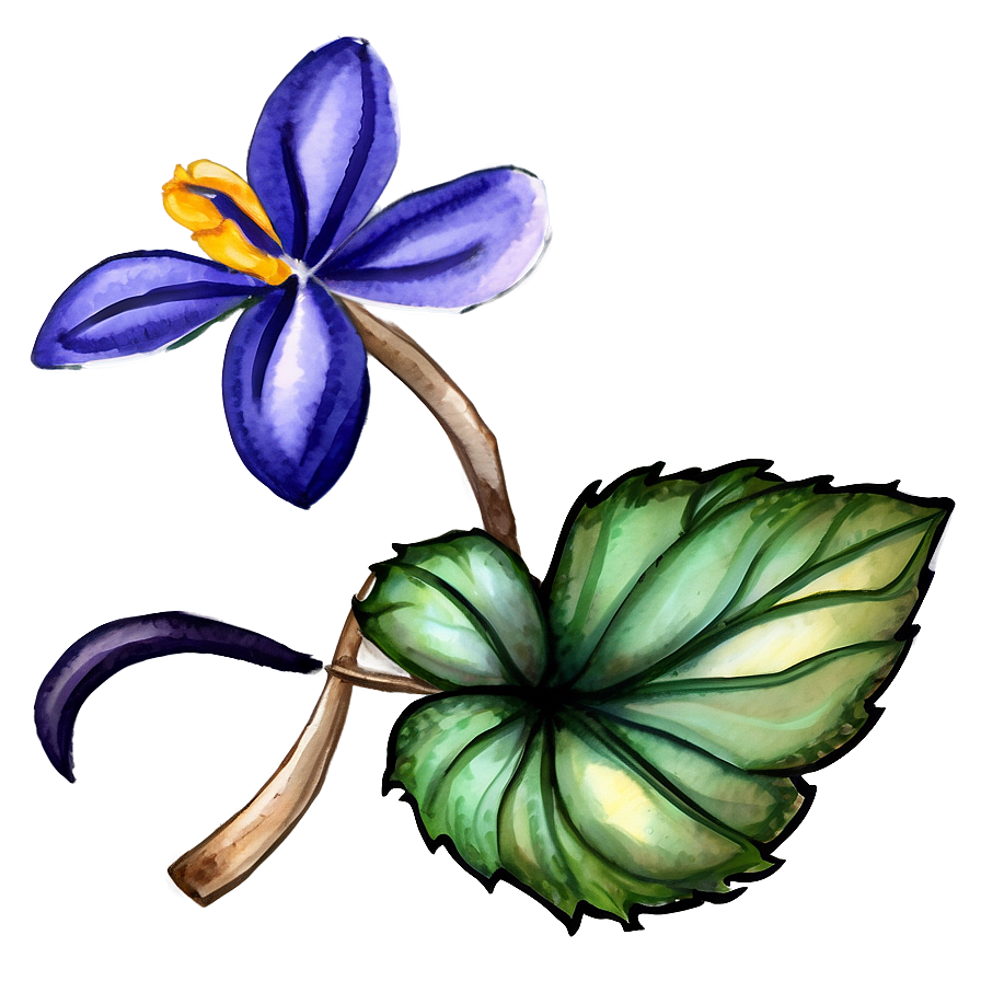 Rustic Flower Watercolor Png 06272024