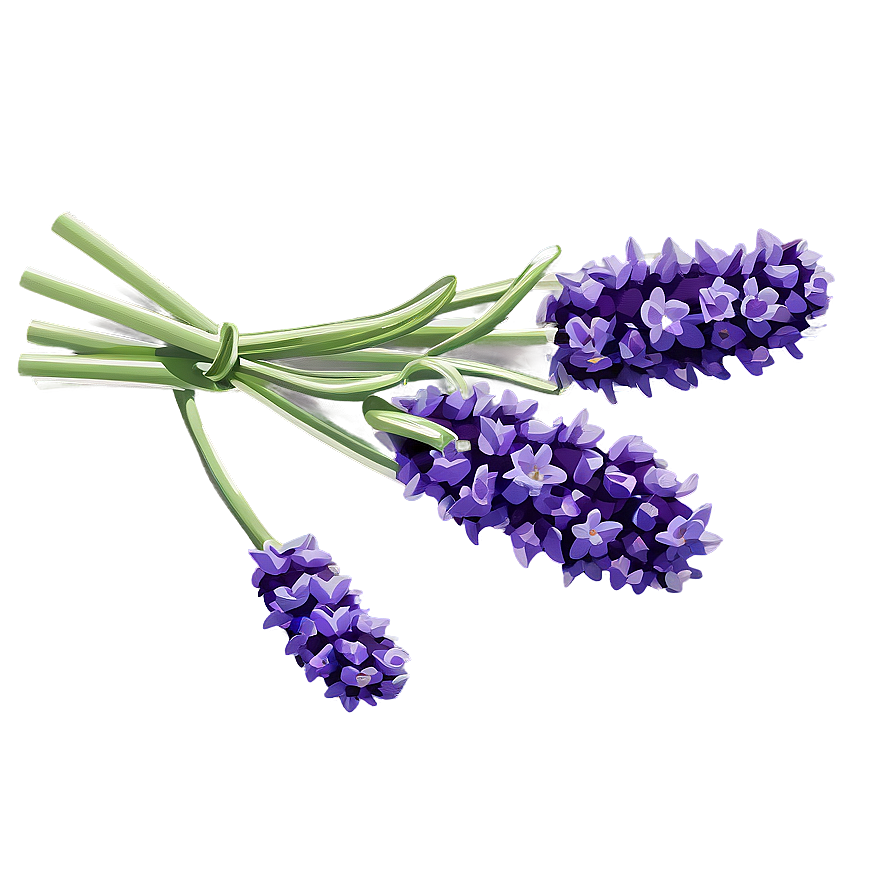 Rustic Lavender Bunch Png Gqm