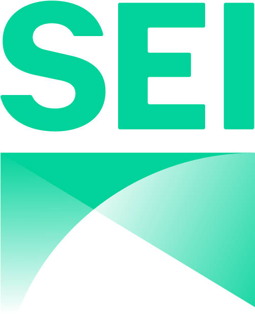 S E O Company Logo Design