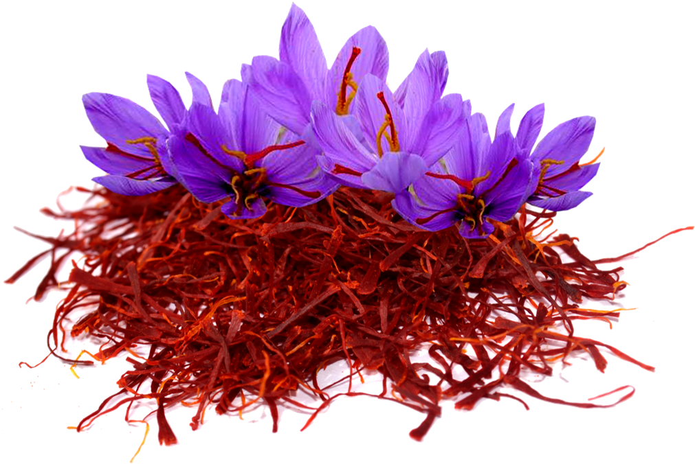 Saffron Stigmasand Flowers