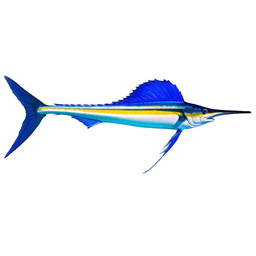 Sailfish Marine Life Png 06262024