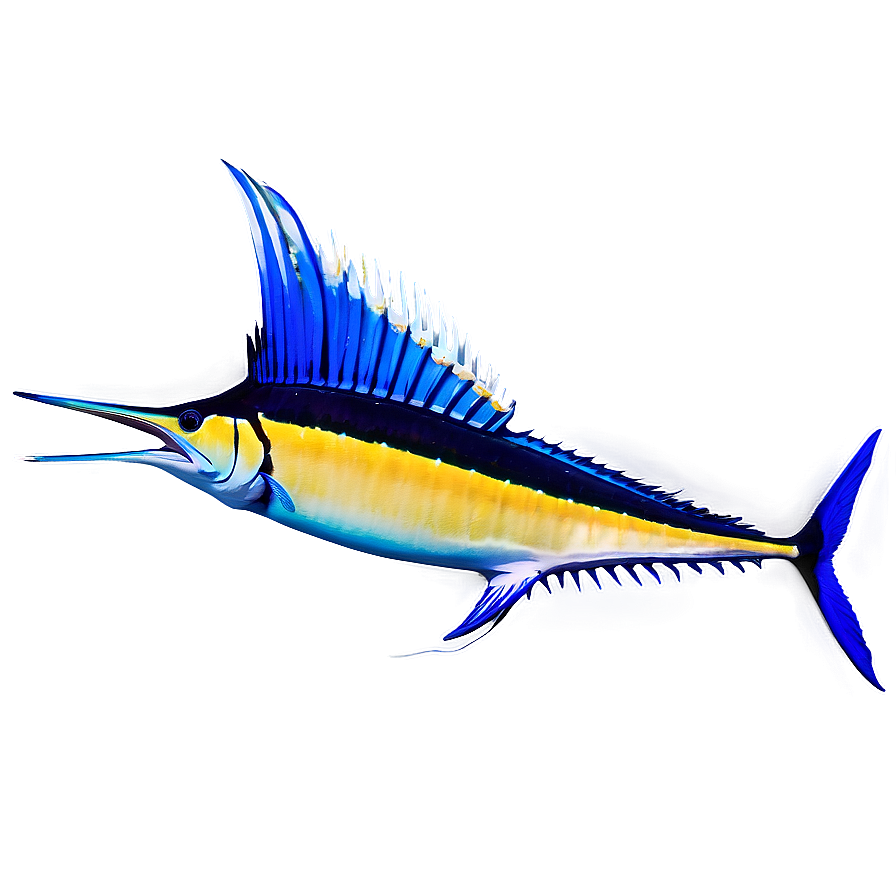 Sailfish Marine Life Png 92