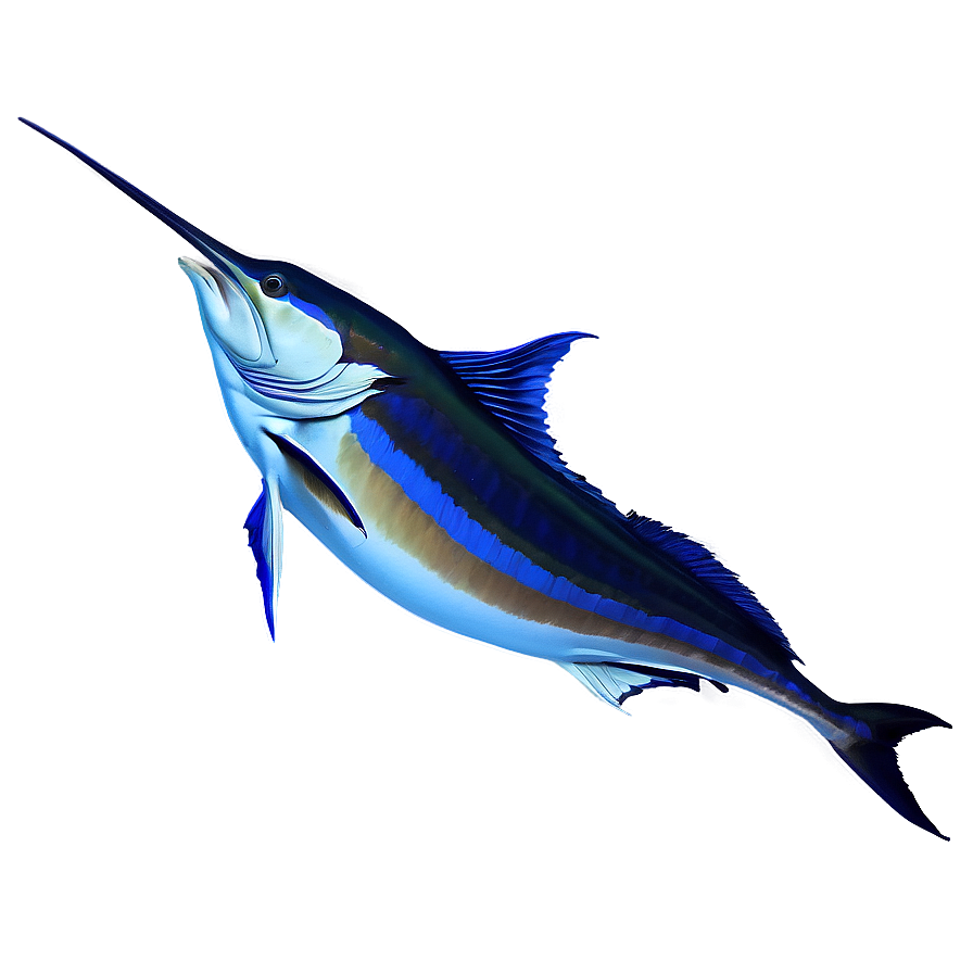 Sailfish Sunset Background Png Vlo