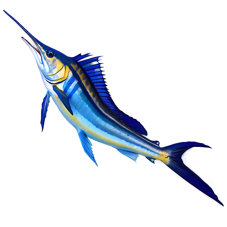 Sailfish With Open Bill Png Sny64