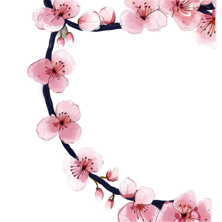 Sakura Flower Sketch Png Vei