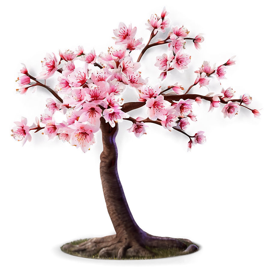 Sakura Tree Png 88