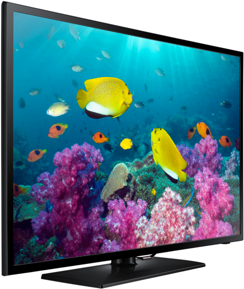 Samsung T V Aquatic Display Quality