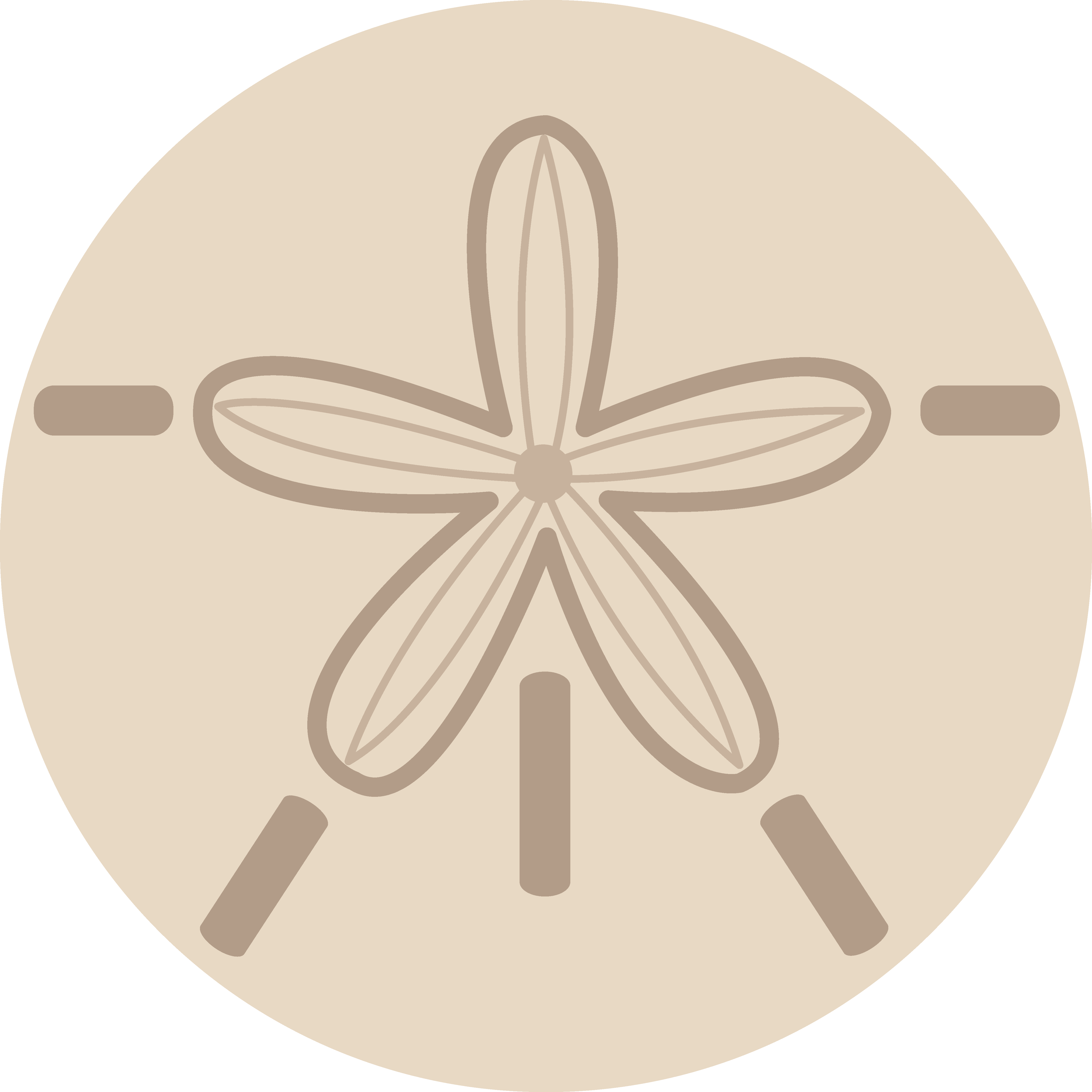 Sand Dollar Icon