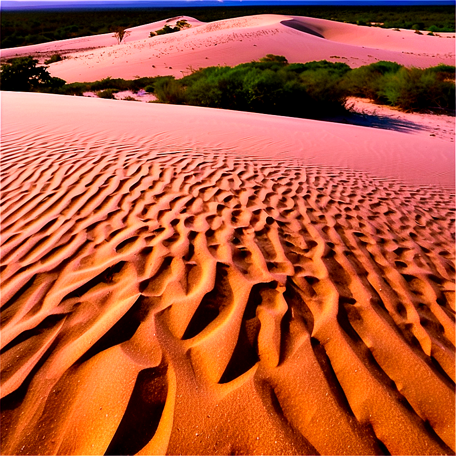 Sand Dunes National Park Png 06292024