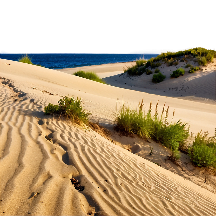 Sand Dunes With Hiking Trail Png Egu17