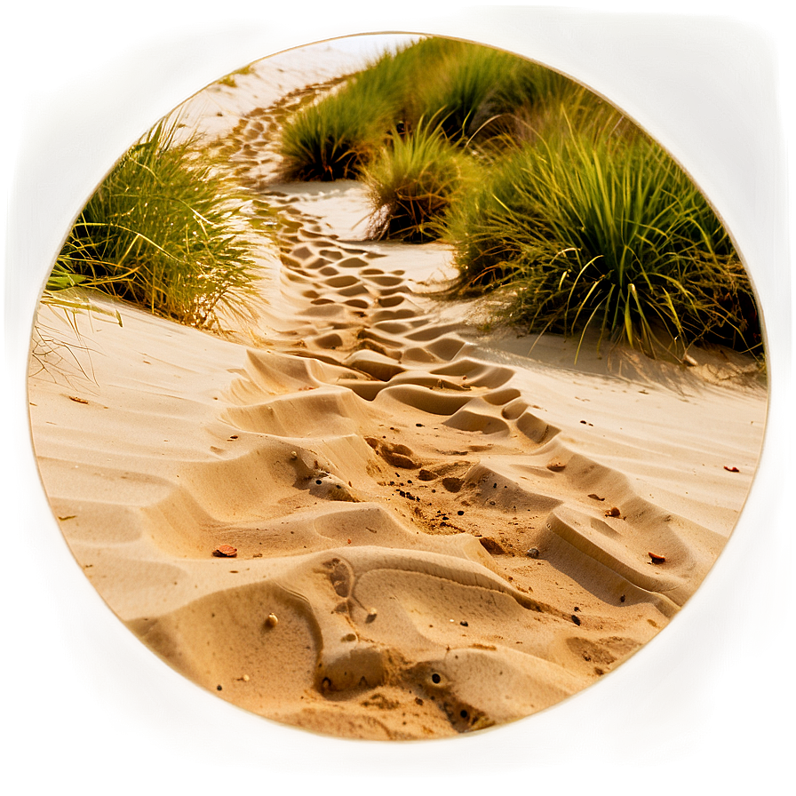 Sand Pathway Png Eui