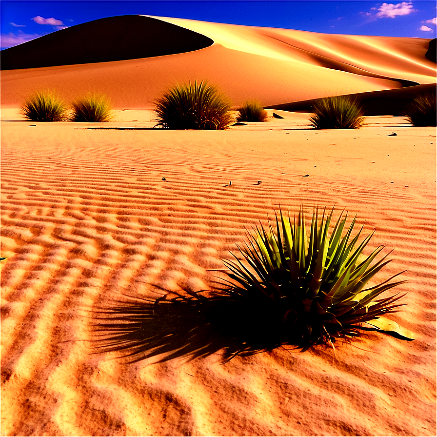 Sandy Desert Oasis Png 06242024