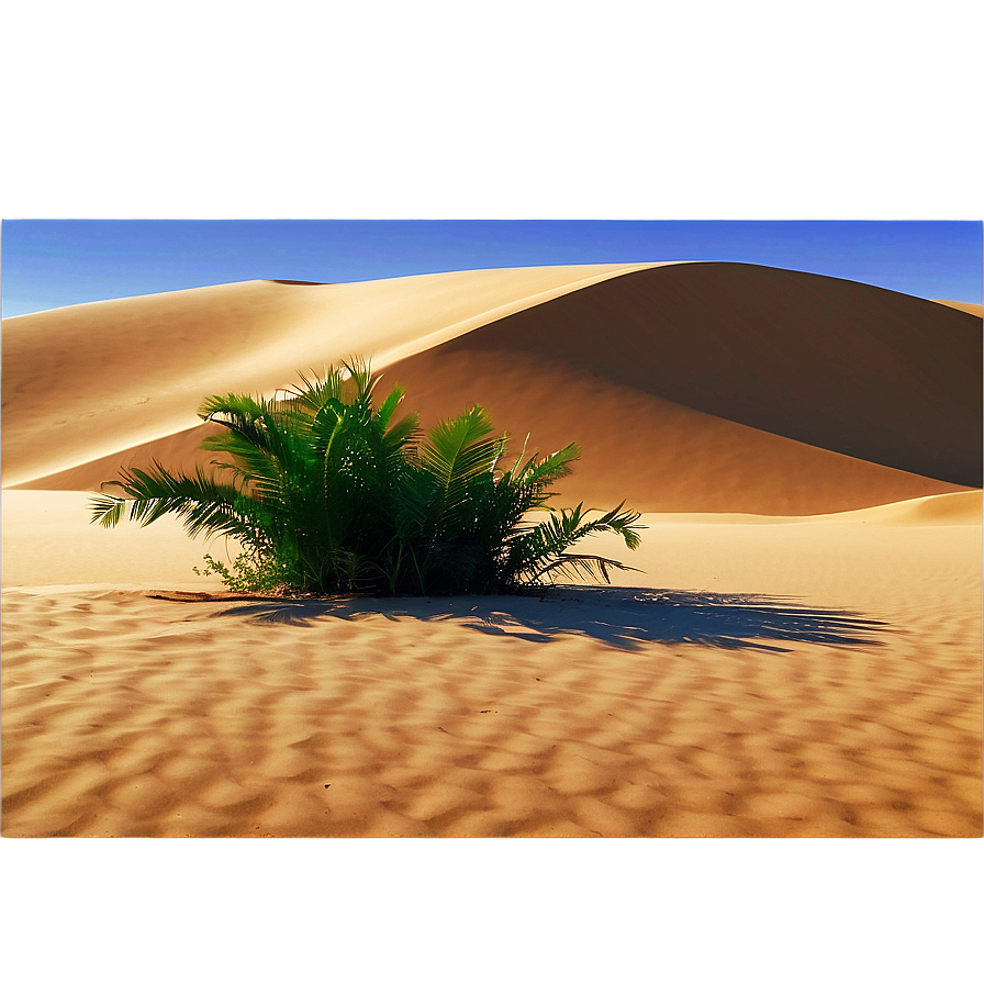 Sandy Desert Oasis Png Vdo13