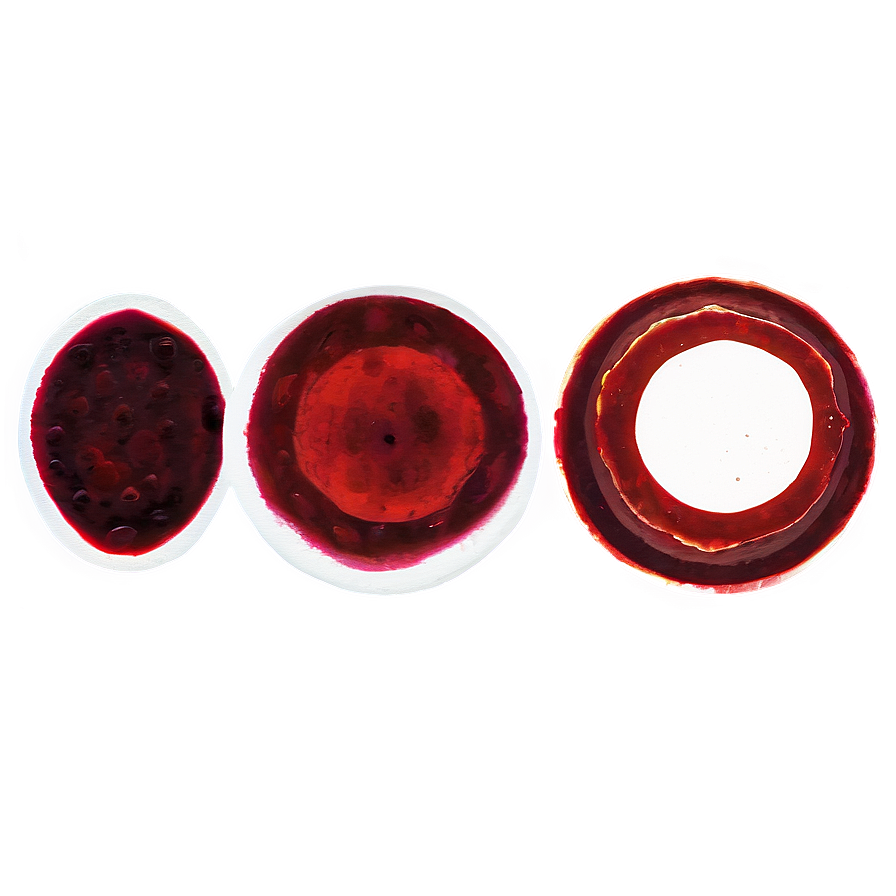 Sanguine Fluid: Blood Smear Png 83