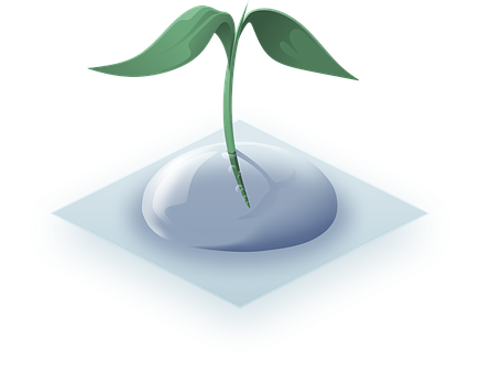 Sapling Growing From Drop Illustration