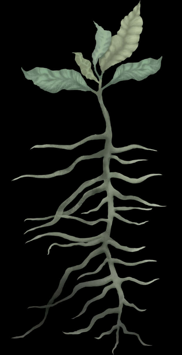 Sapling With Roots Artistic Representation