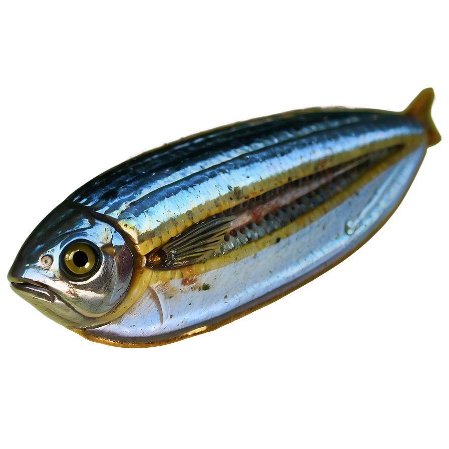 Sardine Can Open Png Oma