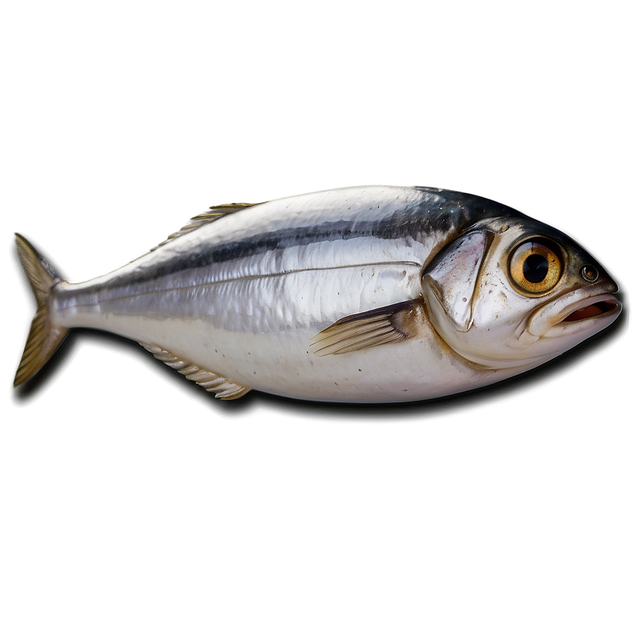 Sardine Emoji Png Tqt11