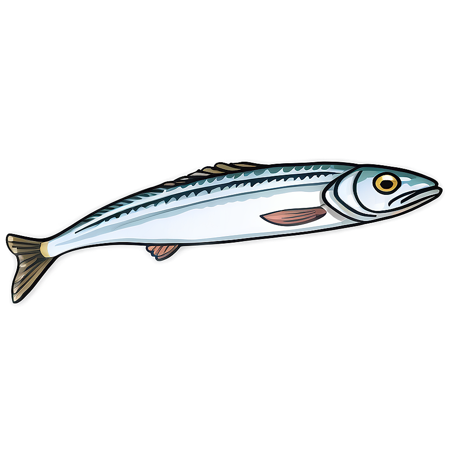 Sardine Illustration Png Omc