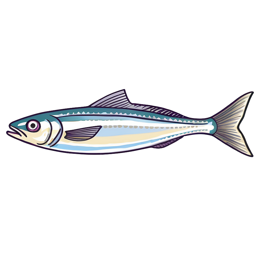 Sardine Outline Png 14