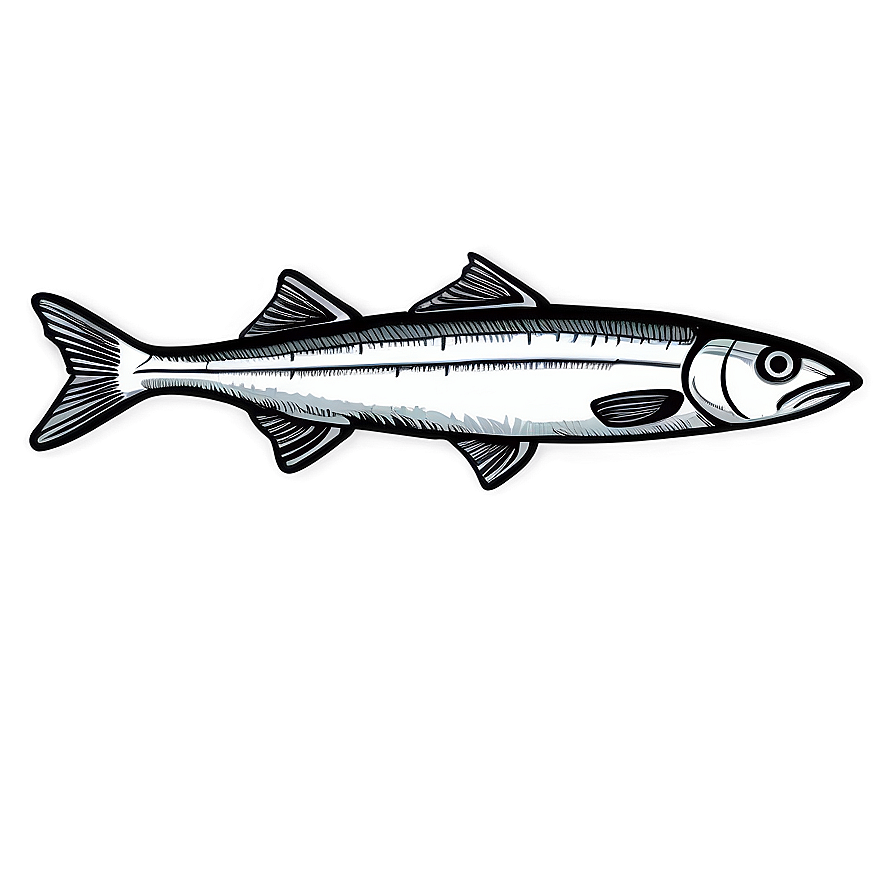 Sardine Outline Png Nvx43