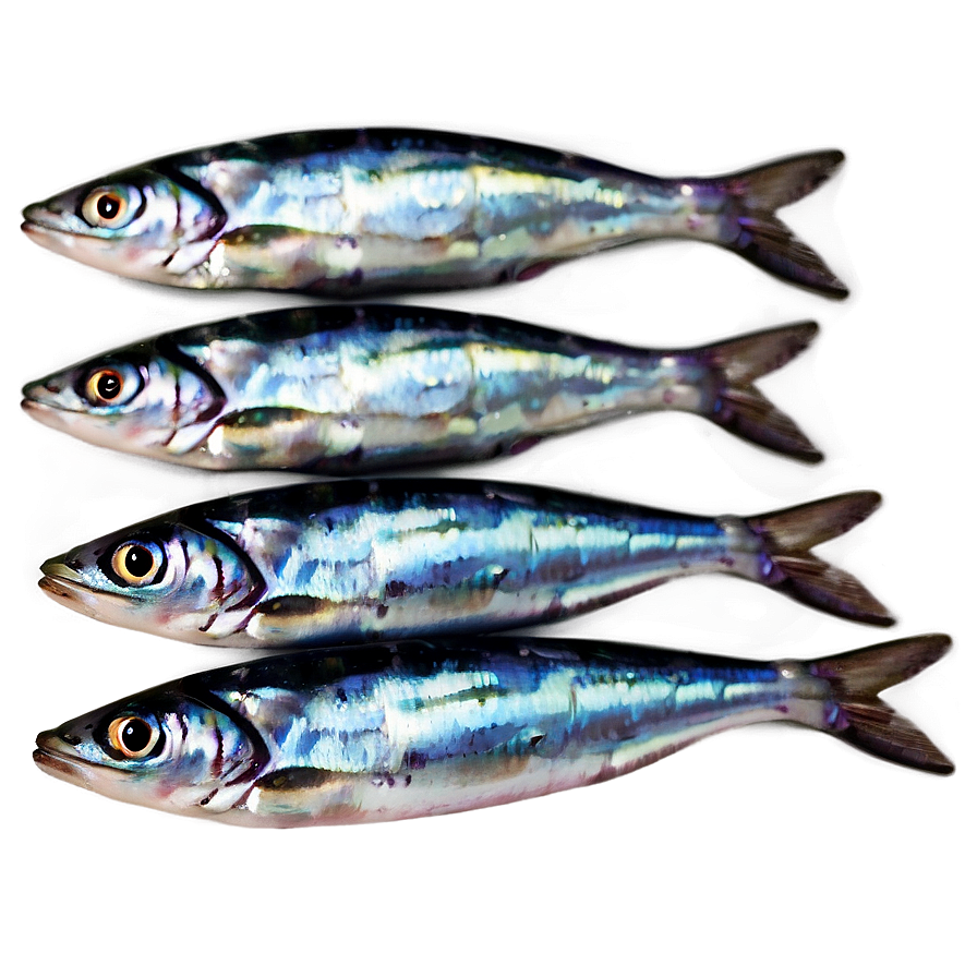 Sardine Pattern Png Ggu