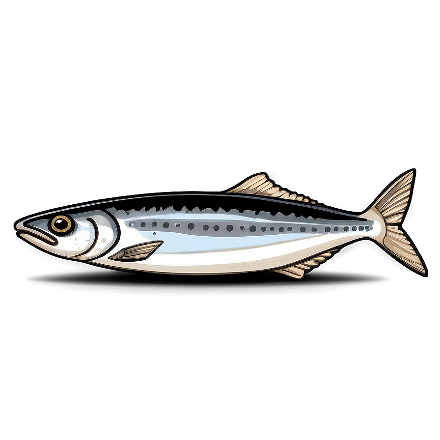 Sardine Sketch Png 23