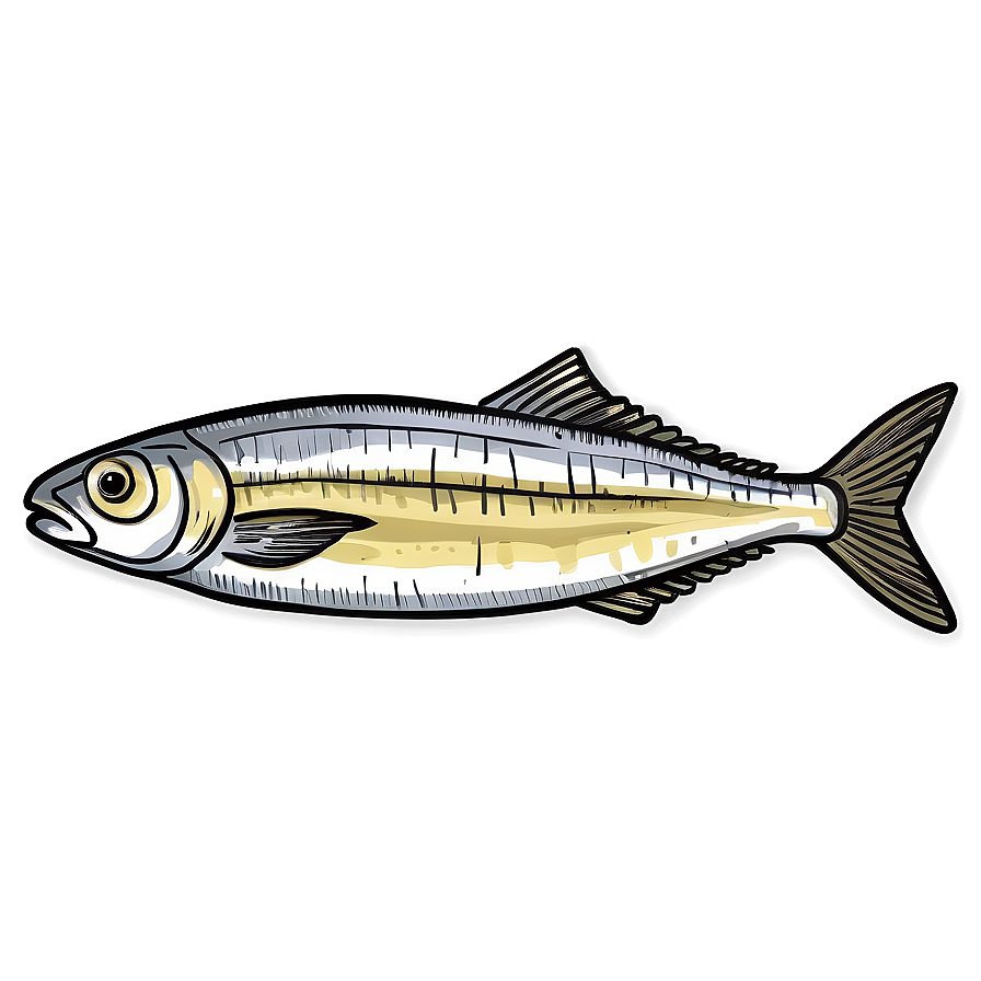 Sardine Sketch Png Ghj