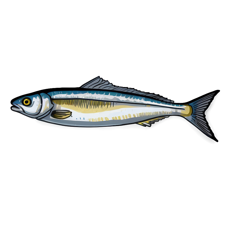 Sardine Sketch Png Wpe