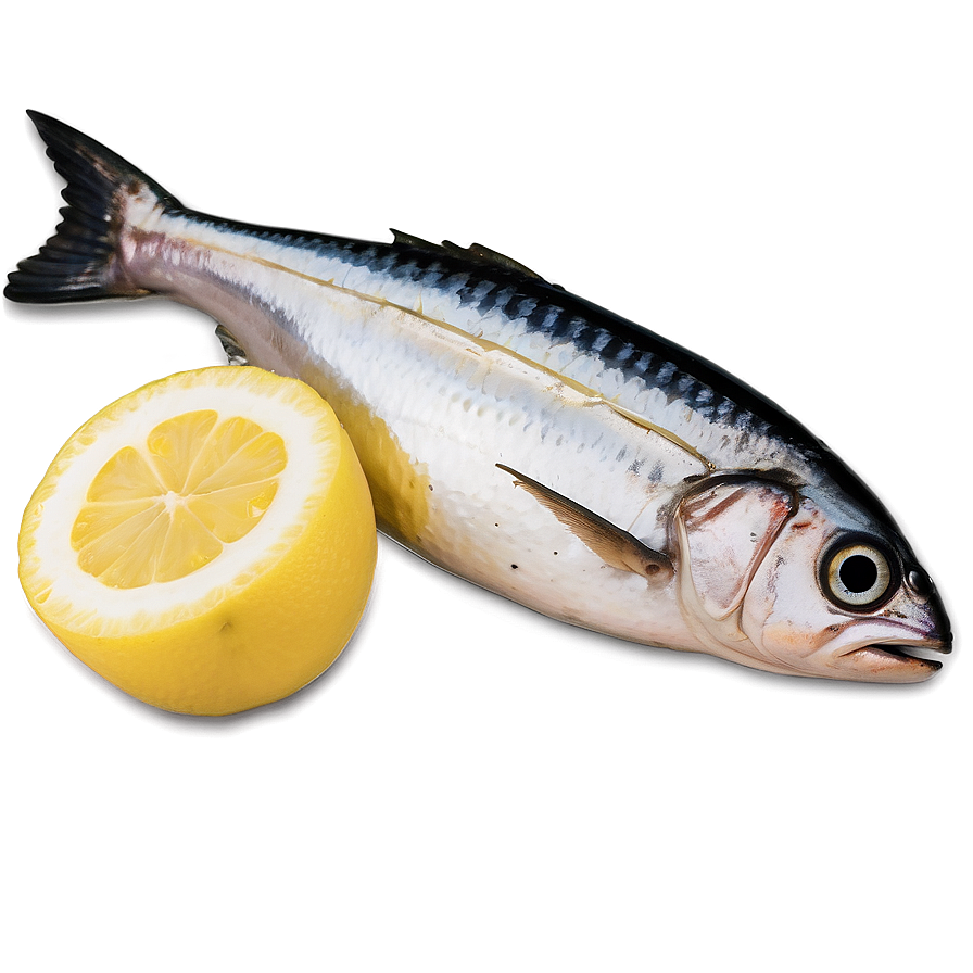 Sardine With Lemon Png 06292024