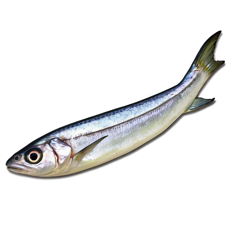 Sardine With Lemon Png 30