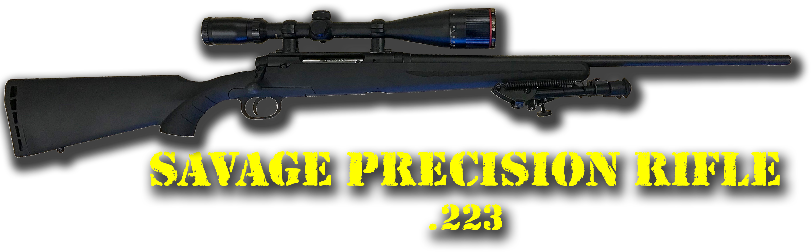 Savage Precision Rifle223