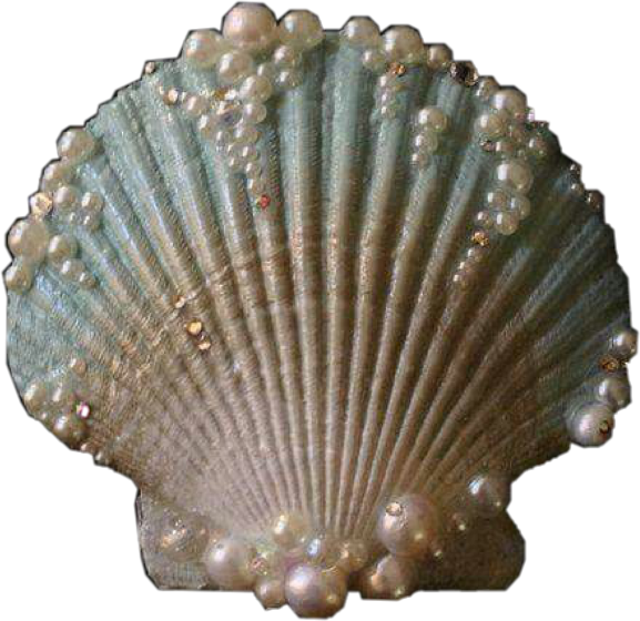 Scalloped Clam Shell