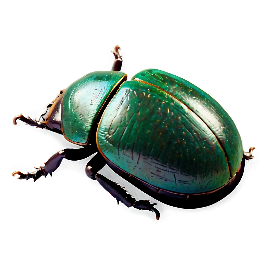 Scarab Beetle Amulet Png 05242024