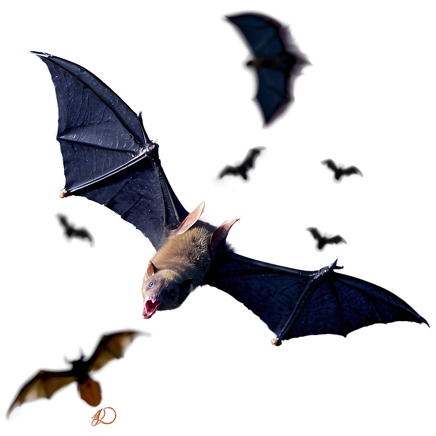 Scary Bats Flight Png 6