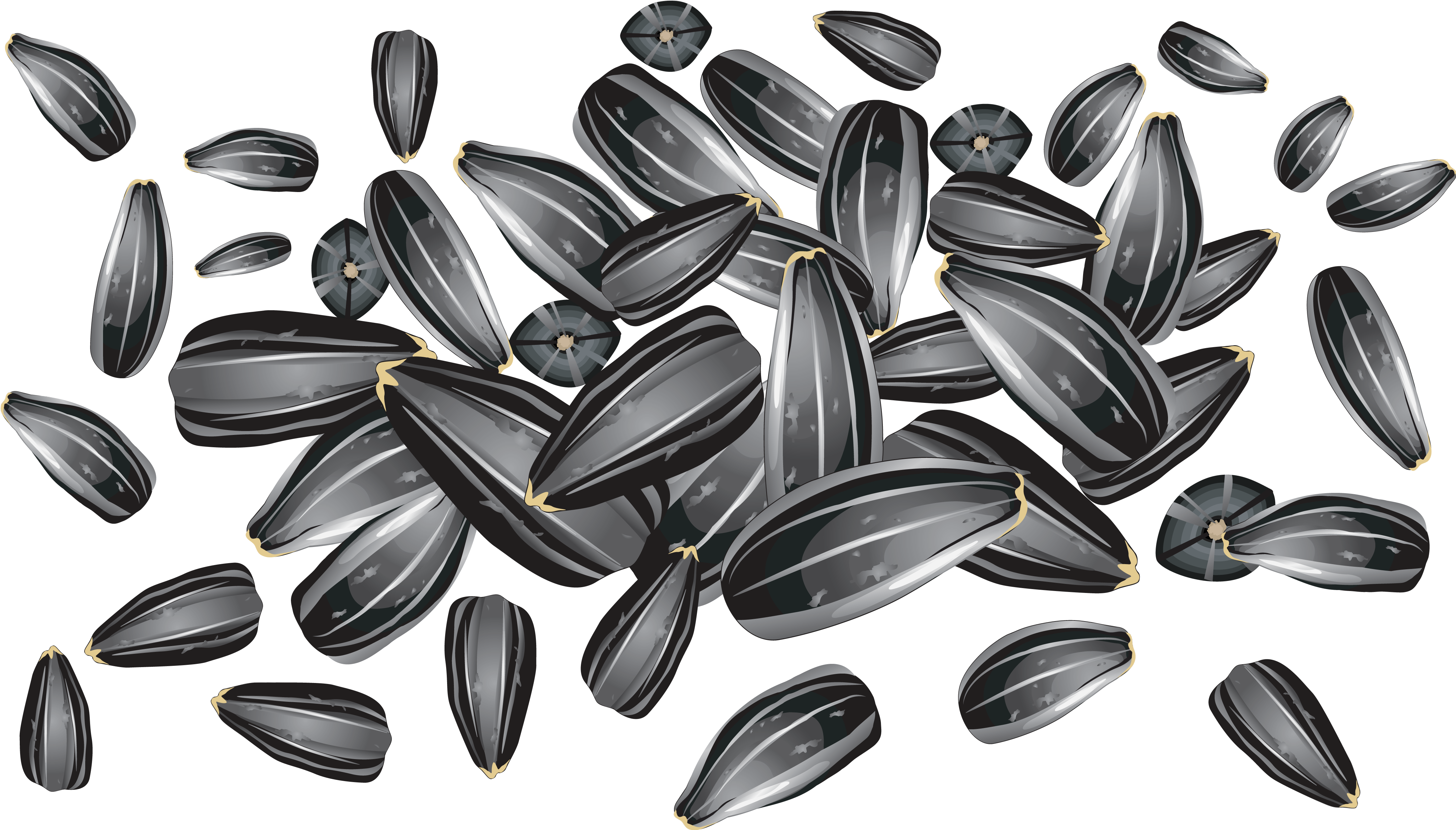 Scattered Sunflower Seeds Background